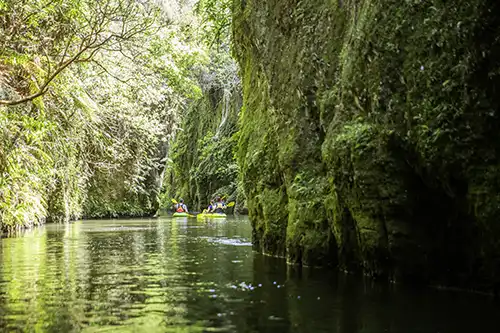 Car rental in Tauranga New Zealand