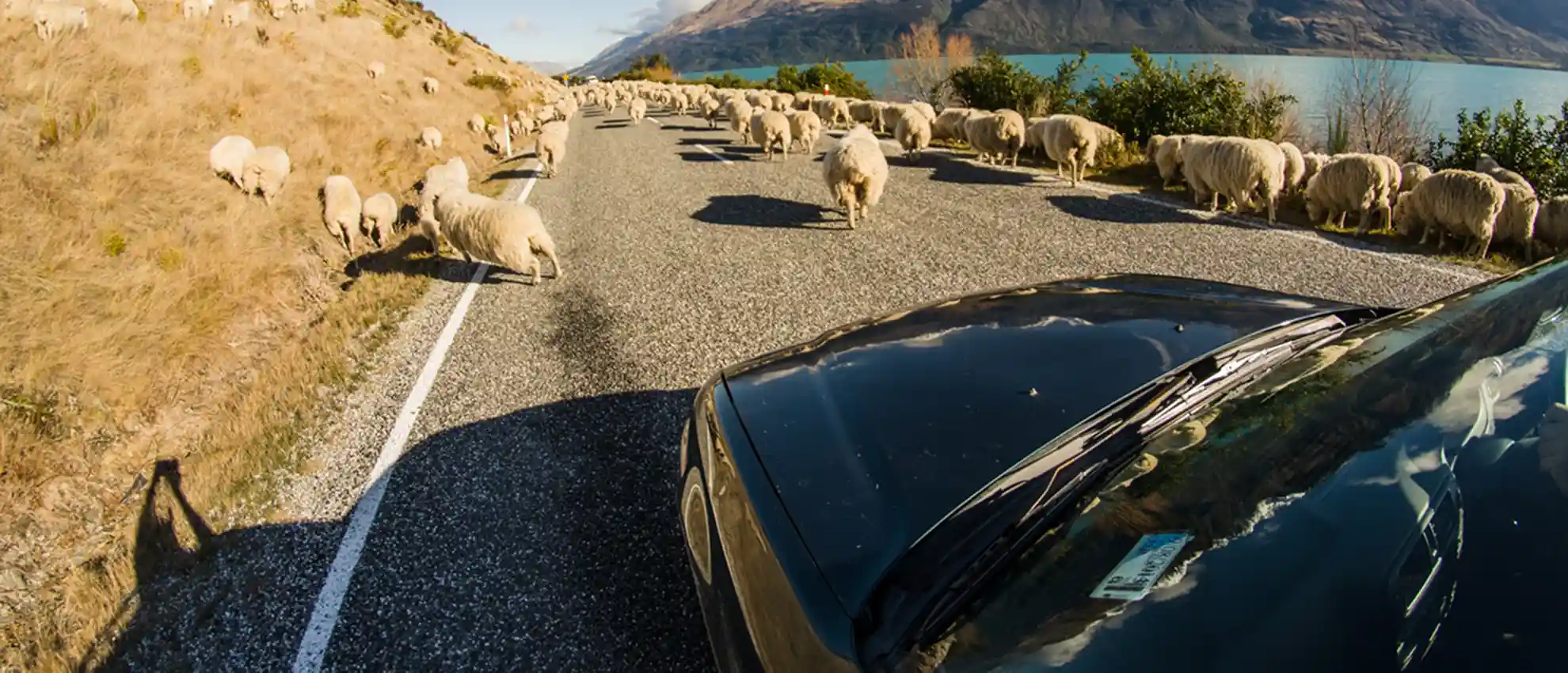 Car Rental Gisborne New Zealand